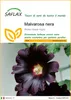 SAFLAX  - Malvarosa nera - 100 semi - Alcea Anteprima dell’immagine prodotto 1