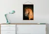MuchoWow® Textilposter Pferd - Braun - Schwarz 60x90 cm mit Produktbild-Vorschau 3