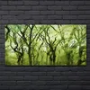 Coloray Bild aus Acryl 140 cm x 70 cm - Gehärtetes Acryl Produktbild-Vorschau 2