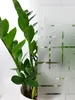 Selbsthaftend Fensterfolie 90x150 cm - Funkeln - Produktbild-Vorschau 9