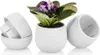 Lot de 7 pots de fleurs avec drainage 0,55 L pour cactus, Voir les images du produit 11