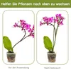 Pflanzenstütze 44.5CM, HOUNANG 20 Stück Pflanzstäbe für Produktbild-Vorschau 4