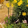 Staudenhalter Pflanzenstütze für Pflanzen Blumenstütze Produktbild-Vorschau 4