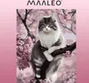 Maaleo 22783 Malování podle čísel - Kočka 40 x 50 cm Náhled obrázku produktu 12