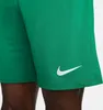 Nike Kurze Hose für Herren in unifarben uni O24-0085990 Produktbild-Vorschau 13