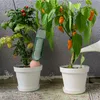 Relaxdays zavlažovacie kužele, sada 4 ks, 1,5-litrové PET Náhľad obrázku produktu 5