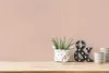AS Vliestapete PintWalls II Unitapete Rosa 390982 Produktbild-Vorschau 9