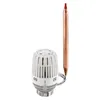 A thermostat head with a copper probe, isolated on a white background. Produktbild-Vorschau