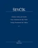 Otakar Ševčík Čtyřicet variací pro housle op. 3 Noten Produktbild-Vorschau 1