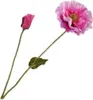 Kunstblume von Silk-ka – Seidenblumen-Mohnzweig, rosa-rot, Produktbild-Vorschau 1