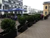 Elegant Einrichten | Pflanzkübel | Fiberglas | rechteckig | Produktbild-Vorschau 6