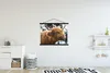 MuchoWow® Textilposter Schottischer Highlander - Nase - Produktbild-Vorschau 2