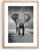 Gerahmtes Poster - Rahmen in heller Eiche - Elefant Wildnis Produktbild-Vorschau 1