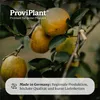 ProviPlant špeciálne kvapalné hnojivo v profesionálnej Náhľad obrázku produktu 3