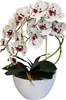 Orchidea artificiale Damich, fiori, in gomma, 2pgk Anteprima dell’immagine prodotto 1