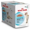 Royal Canin Feline Multipack Urinary Care in Sosse 12x85g Anteprima dell’immagine prodotto 1