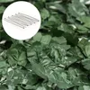 blumfeldt Fency Dark Ivy, zástena na ochranu súkromia, 300 Náhľad obrázku produktu 3
