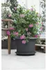 Pflanzkübel geli Montana Kunststoff Ø 70 cm H 50 cm Produktbild-Vorschau 2
