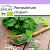 SAFLAX - BIO - Plochá petržel - Petroselinum crispum - 600 Náhled obrázku produktu 10