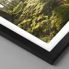 Gerahmtes Poster - Schwarzer Rahmen - Wald Baum Natur - Produktbild-Vorschau 2