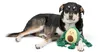 Hundespielzeug Kuscheltier RAGI Welpenspielzeug Produktbild-Vorschau 3