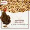 Supravit Braugerste 2,5kg | Ergänzungsfutter für Hühner und Produktbild-Vorschau 2