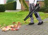 A person is using a leaf blower to clear leaves from a paved walkway next to a lawn. Produktbild-Vorschau