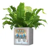 LECHUZA plantpot CANTO Stone 40 Low, zandbeige | Plantpot Productafbeelding-voorbeeld 29