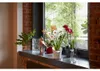 LECHUZA plantpot ORCHIDEA, wit, mat | Plantpot voor Productafbeelding-voorbeeld 24