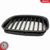 ESEN SKV 66SKV177 Kühlergrill Frontgrill für BMW 5 GT (F07) Produktbild-Vorschau 7