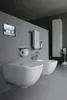 A modern, minimalist bathroom with a wall-mounted toilet and bidet. Produktbild-Vorschau