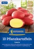 Kiepenkerl Pflanzkartoffel Laura Solanum tuberosum 10 Stück Produktbild-Vorschau 1