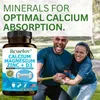 Calcium, Magnésium, Zinc + Vitamine D3 (120 capsules) Voir les images du produit 6