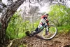 A mountain biker riding on a dirt trail in a forest. Anteprima dell’immagine prodotto