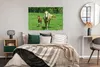 MuchoWow® Poster Pferd - Fohlen - Tiere 120x90 cm - Produktbild-Vorschau 4