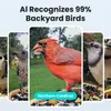 Birdfy Rookie Lite vogelhuis met camera (abonnement voor Productafbeelding-voorbeeld 12
