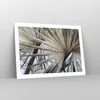 Poster - Poster ohne Rahmen - Blatt Palme Natur - 70x50 cm Produktbild-Vorschau 7