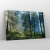 Bild auf Leinwand - Leinwandbild - Einteilig - Wald Produktbild-Vorschau 4