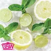 GSW Thermoschüssel-Set 6 tlg. mit Kunststoffdeckel, Produktbild-Vorschau 4