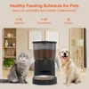 Balimo Futterautomat 3L Schwarz, Katze und Hund, Produktbild-Vorschau 3