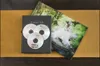 Verbatim DVD-R Matt Silver, DVD-R, Slimcase, 4,7 GB Produktbild-Vorschau 4