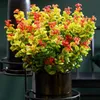 Leucothoe Curly Gold - Giallo - 2 piante - Sempreverde - Anteprima dell’immagine prodotto 4