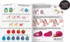 Lena Mani-Pedi Nagelstudio 4 in 1 Set - Fingernagelpflege, Produktbild-Vorschau 5