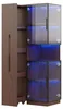 Vitrinenschrank 70×38×160 cm mit Ausziehregal – Produktbild-Vorschau 10