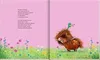 Ronny, das Pony, (Bd. 2) Produktbild-Vorschau 6