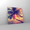 Bilder auf glas - Meer Strand Palme - 50x50cm - Glasbilder Produktbild-Vorschau 4