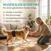 HUND IST KÖNIG Hundewindeln für Rüden [3 Stk], XL (Taille Produktbild-Vorschau 4