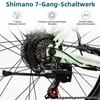 2026 26 Zoll E Bike City E-Bike E-Hollandrad 36V 14.5Ah Produktbild-Vorschau 6