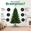 Czarna choinka "Trees Brampton" - choinka świąteczna - Podgląd zdjęcia produktu 2