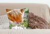 MuchoWow® Zierkissen Sofakissen Wohnzimmer Dekokissen 50x50 Produktbild-Vorschau 4